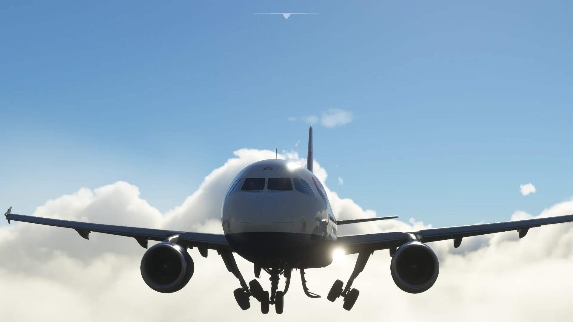 Microsoft Flight Simulator 06_02_2023 10_52_54.webp